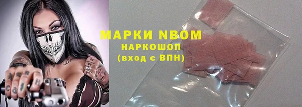 индика Алексин