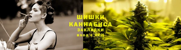 apvp Алзамай