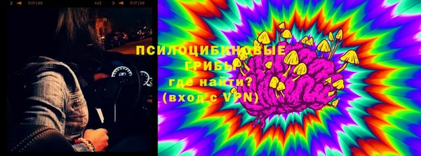 apvp Алзамай