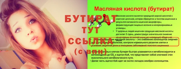 индика Алексин