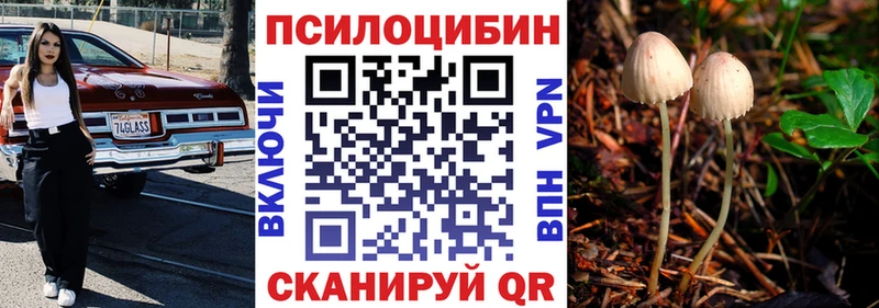 Псилоцибиновые грибы Cubensis  blacksprut как войти  Елизаветинская 