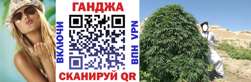 Бошки Шишки OG Kush  как найти закладки  Елизаветинская 